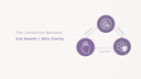 The Connection Between Gut Health & Skin Clarity