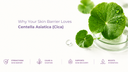 Why Your Skin Barrier Loves Centella Asiatica (Cica)
