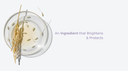 Rice Water Extract: Natural Brightening + Barrier Support Explained