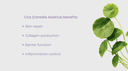 CICA is More Than Just a Calming Ingredient