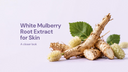 White Mulberry Root Extract for Skin: A Closer Look